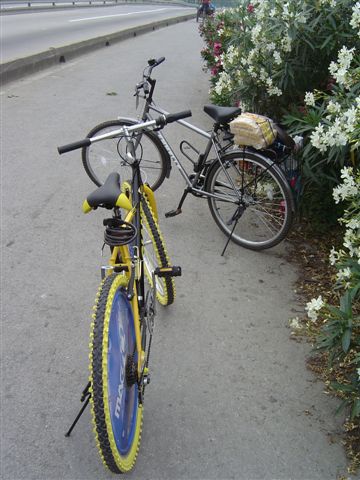 sheshan-two.bicycles-near.huqingping.jpg