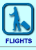 screen-changi.airport.flight.info-icon.gif
