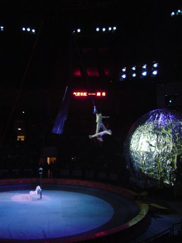 shanghai-flying-circus.jpg