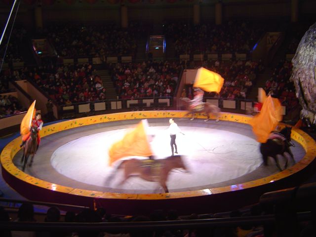 shanghai-horses-circus.jpg