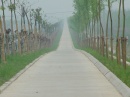 chongming-chenhai-winding.bike.road * 1280 x 960 * (540KB)