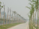 chongming-chenhai.road-winding * 1280 x 960 * (573KB)