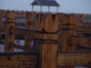 chongming-wood.bridge-big.pole * 1280 x 960 * (316KB)