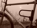 Cycling to Chongming * (123 Slides)