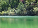 daocheng.yading-pearl.lake-lake.trees * 1280 x 960 * (595KB)