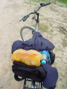 chongming-bicyle-on.wet.land * 960 x 1280 * (608KB)