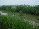 chongming-luwei-near.qianyu.road * 1280 x 960 * (603KB)
